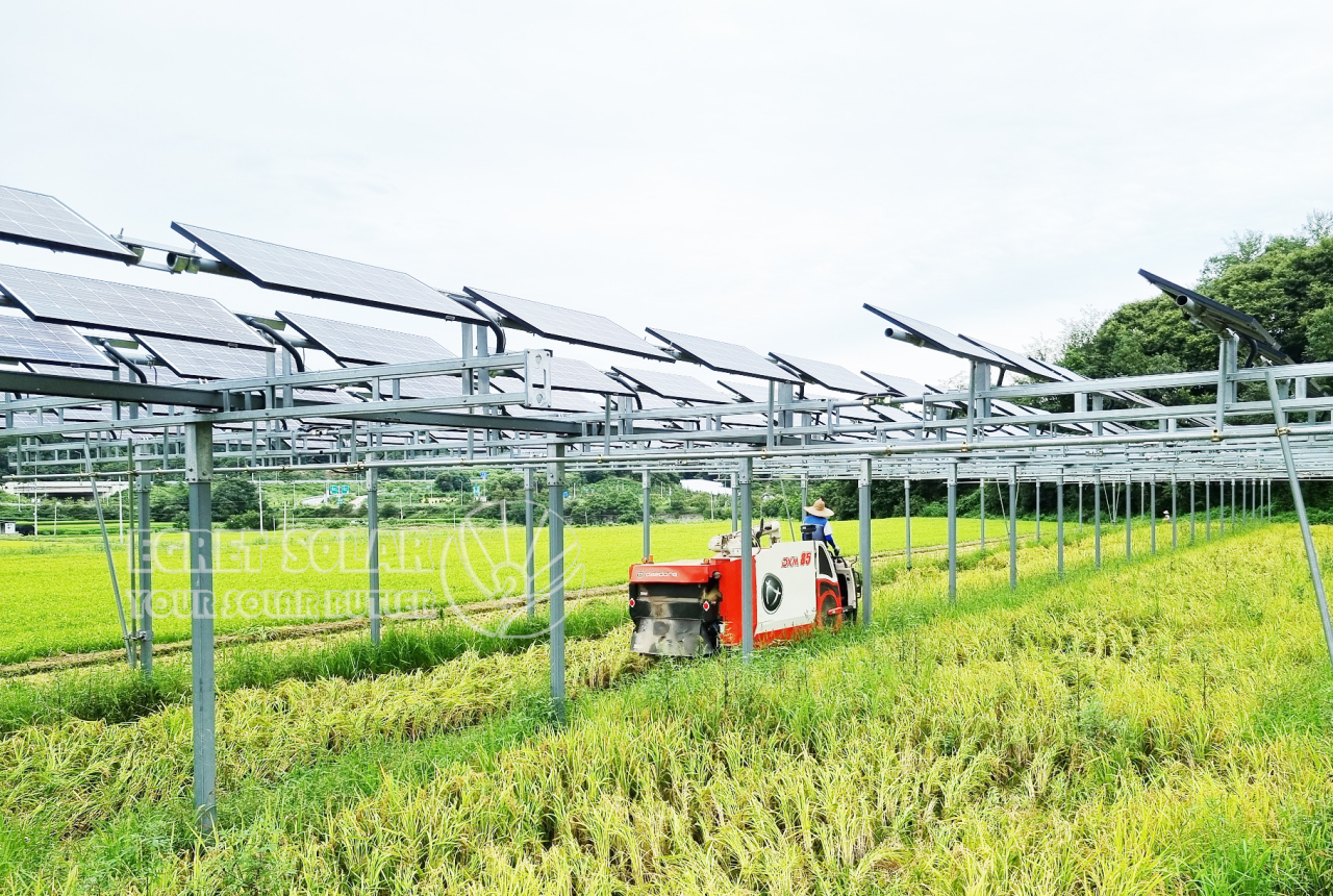 A montagem solar de alumínio para agricultura impulsiona o desenvolvimento agrícola sustentável