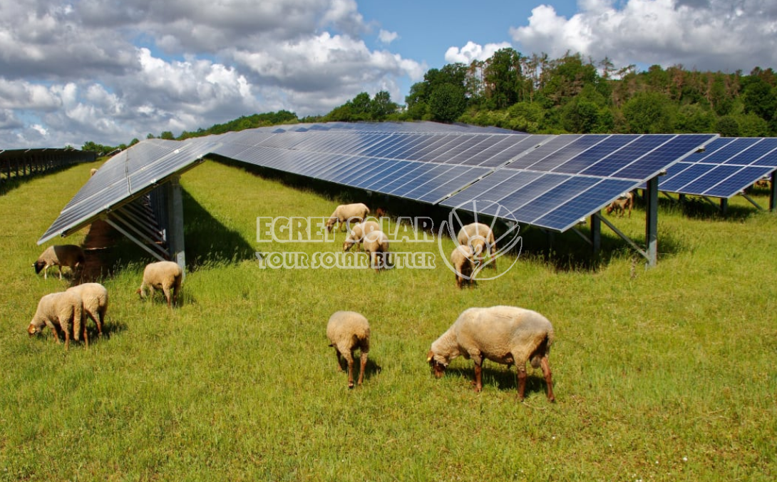 A cooperação estratégica entre a tecnologia Egret Solar New Energy e a Smart Concept Energy