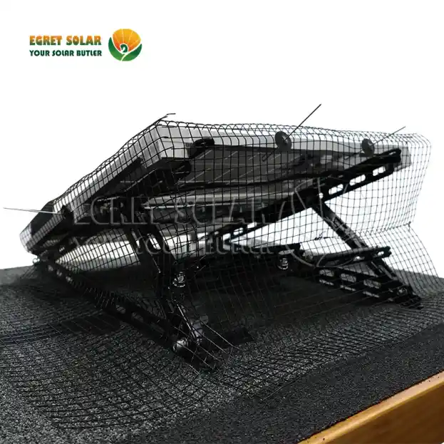 Por que as redes solares para pássaros são a principal linha de defesa?